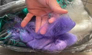 Plase_de_pescuit_tip_monofilament_descoperite_in_PTF_Oancea1_original