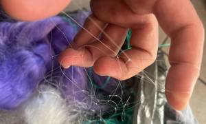 Plase_de_pescuit_tip_monofilament_descoperite_in_PTF_Oancea2_original