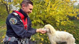 WhatsApp_Image_2025-11-03_at_17.06.35_1_original