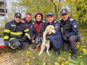 WhatsApp_Image_2025-11-03_at_17.06.35_2_original