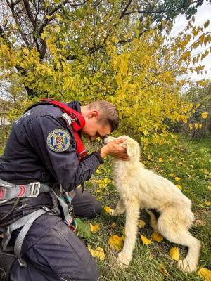 WhatsApp_Image_2025-11-03_at_17.06.35_original