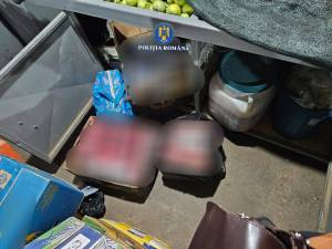 WhatsApp_Image_2025-11-07_at_16.17.03_2_original