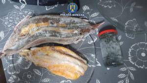 WhatsApp_Image_2025-11-14_at_13.09.14_original