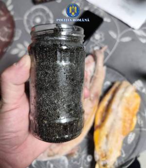 WhatsApp_Image_2025-11-14_at_13.09.15_1_original