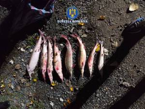 WhatsApp_Image_2025-11-14_at_13.09.15_original