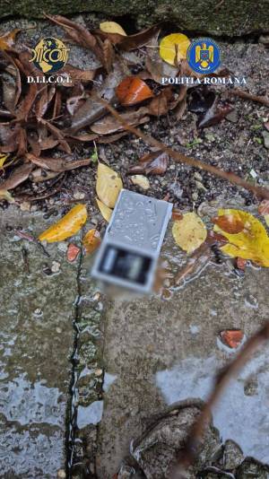 WhatsApp_Image_2025-11-19_at_14.49.30_1_original