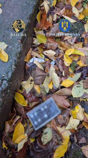 WhatsApp_Image_2025-11-19_at_14.49.30_2_original