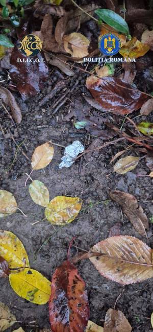 WhatsApp_Image_2025-11-19_at_14.49.31_1_original