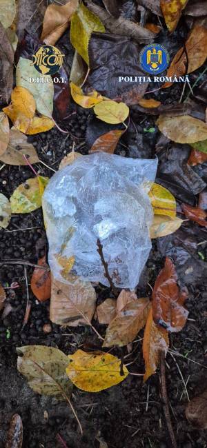 WhatsApp_Image_2025-11-19_at_14.49.32_2_original