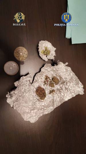 WhatsApp_Image_2025-11-19_at_14.49.32_3_original