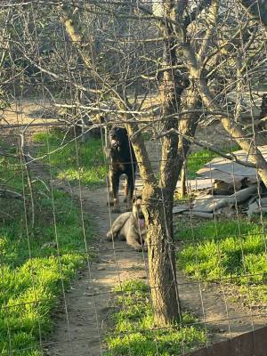 WhatsApp_Image_2025-11-22_at_10.00.26_2_original