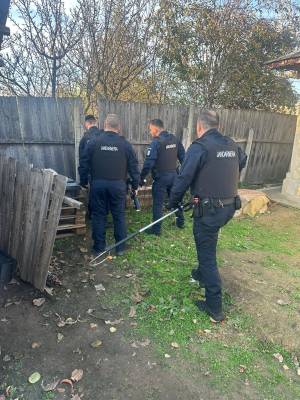 WhatsApp_Image_2025-11-22_at_10.00.26_original