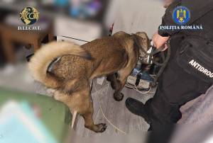 WhatsApp_Image_2025-11-26_at_11.38.31_1_original