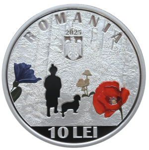 avers-Sadoveanu_original