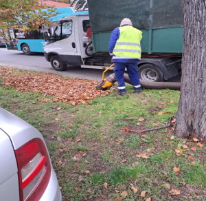 ecosal_poza_1_original