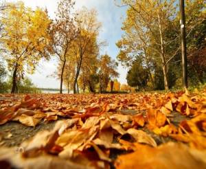 ecosal_poza_2_original