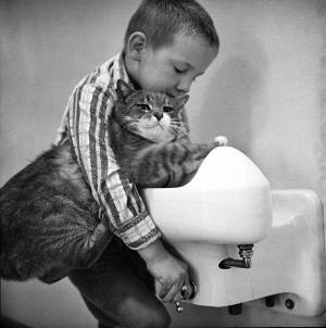 room_8_cat_3_original