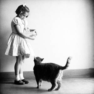 room_8_cat_4_original