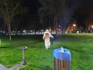 thumbnail_original_copy_1
