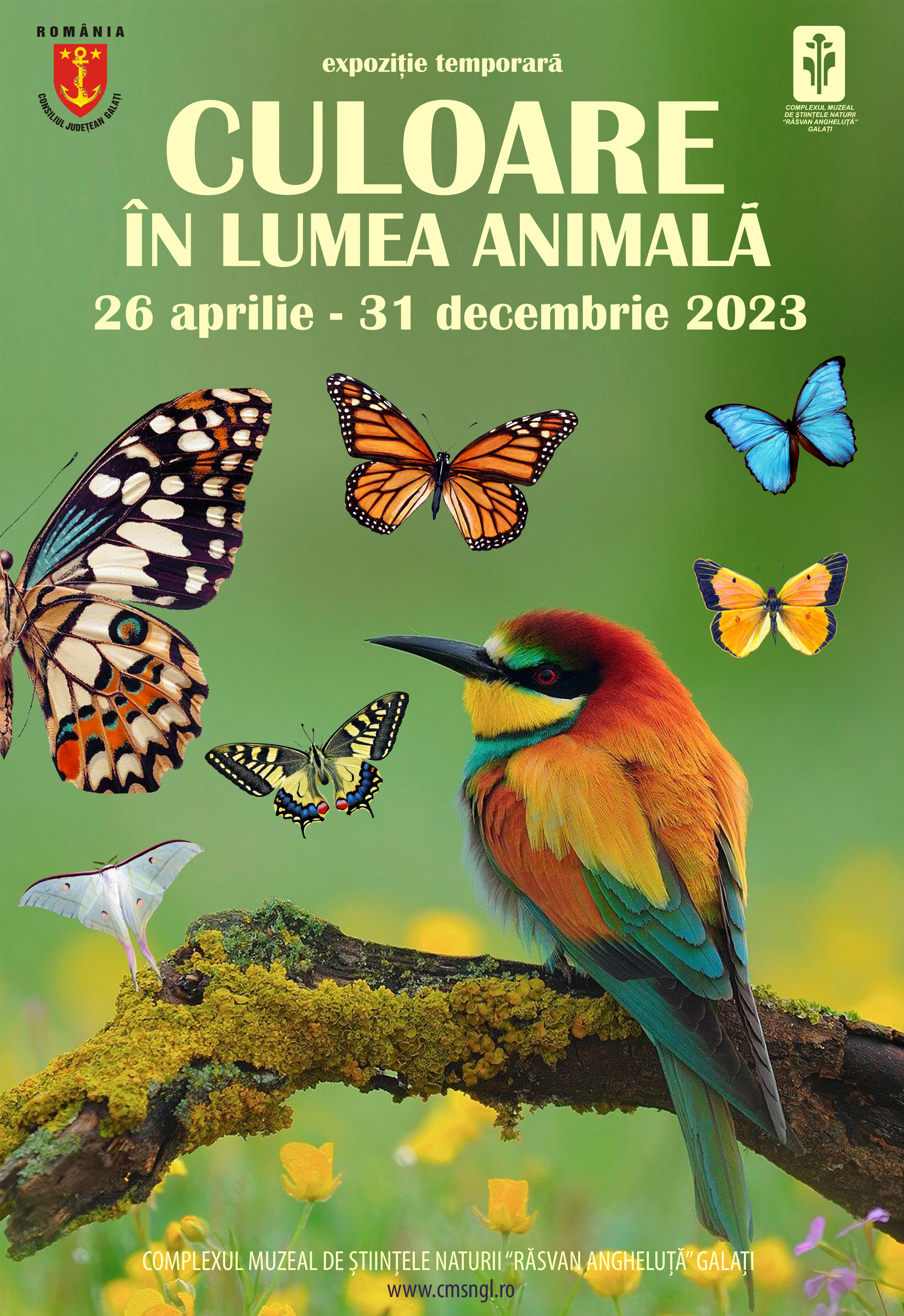 „Culoare în lumea animală”, la Complexul Muzeal Galaţi