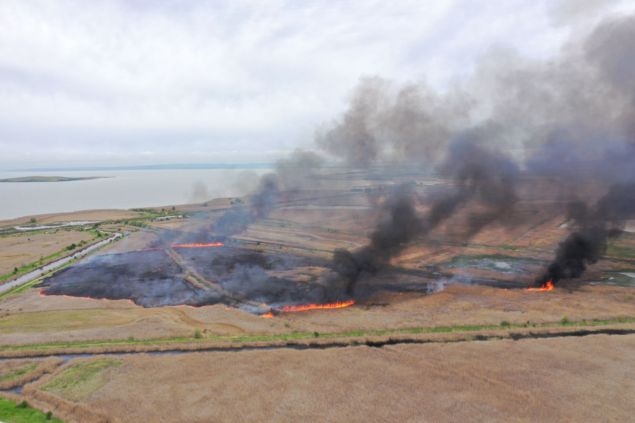 VIDEO: Incendiu uriaş între localităţile Iazurile şi Colina, judeţul Tulcea (UPDATE)