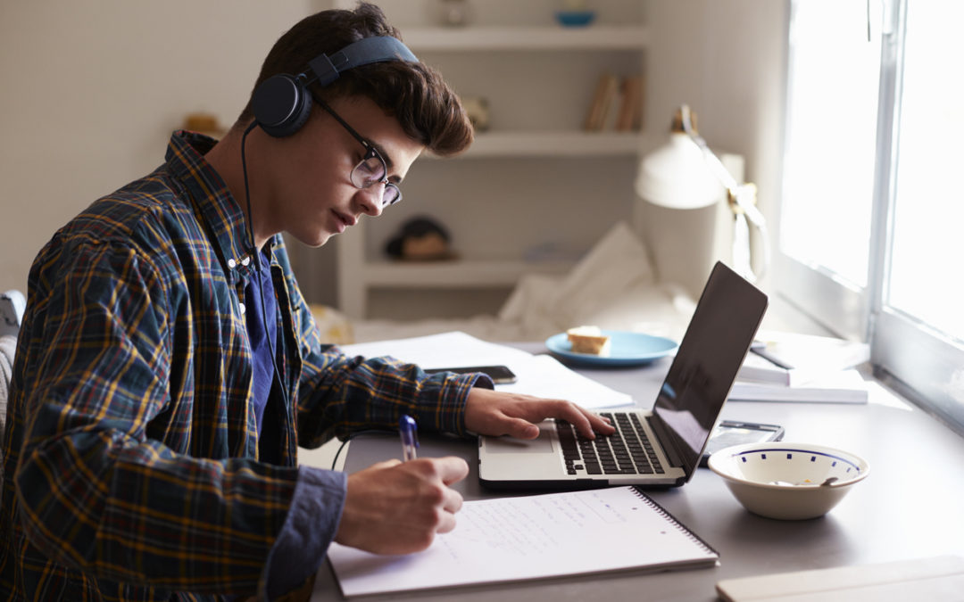 Pregătire pentru bacalaureat la matematică, online!