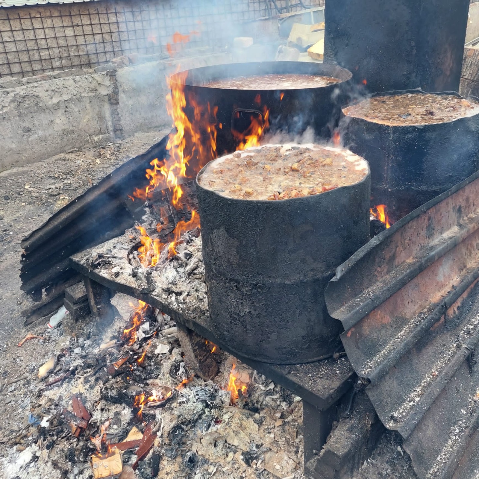 FOTO: Adăpost pentru câini fără stăpân din Galaţi amendat cu 50.000 lei