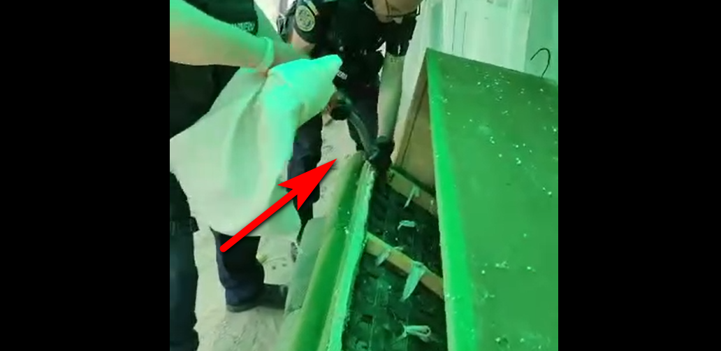 VIDEO: Şarpe scos de jandarmi din canapeaua unei familii
