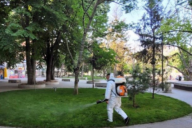 SP Ecosal continuă dezinsecția în oraș!