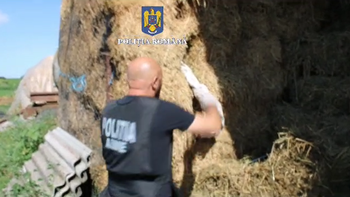 Galaţi: Armă deţinută ilegal ascunsă într-o căpiţă, la o fermă din judeţ (VIDEO)