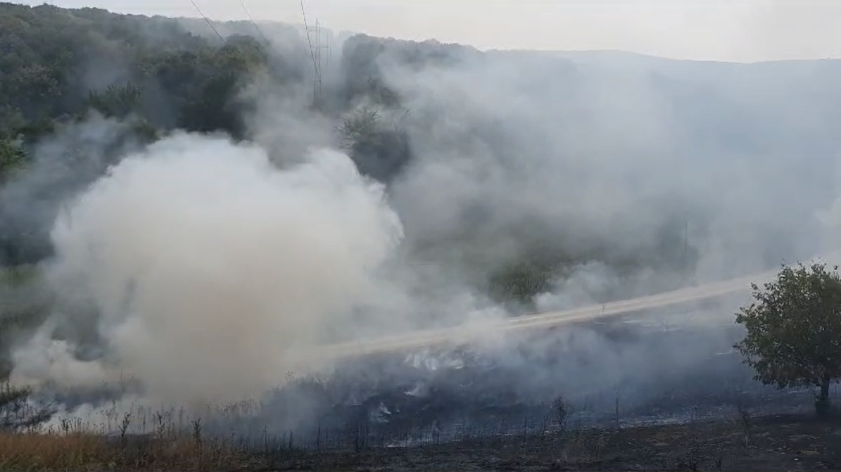 Albinărie din Tulcea ameninţată de flăcări (FOTO/VIDEO)