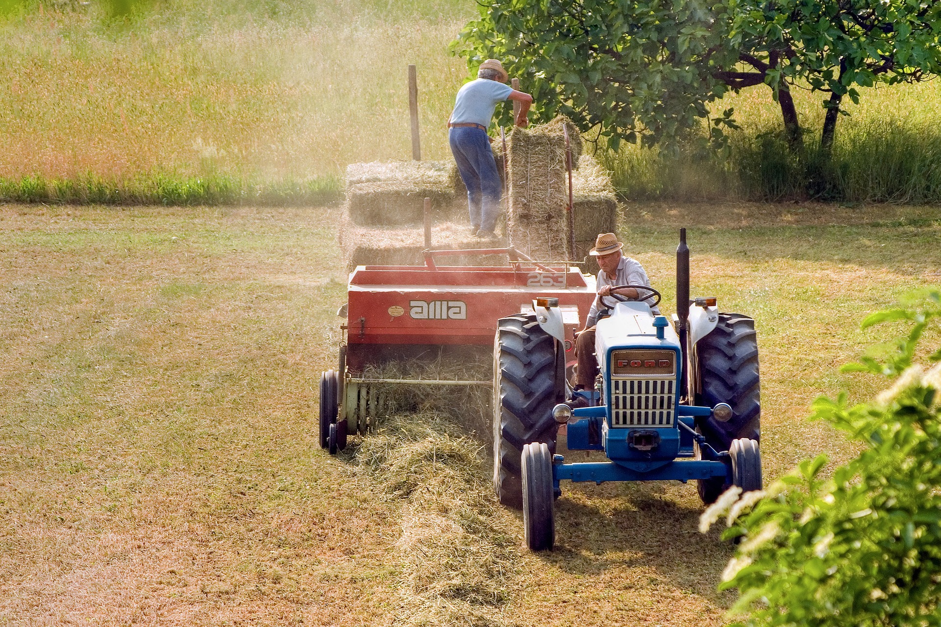 Modificări aduse procedurii de acordare a facilităţilor în sectorul agricol