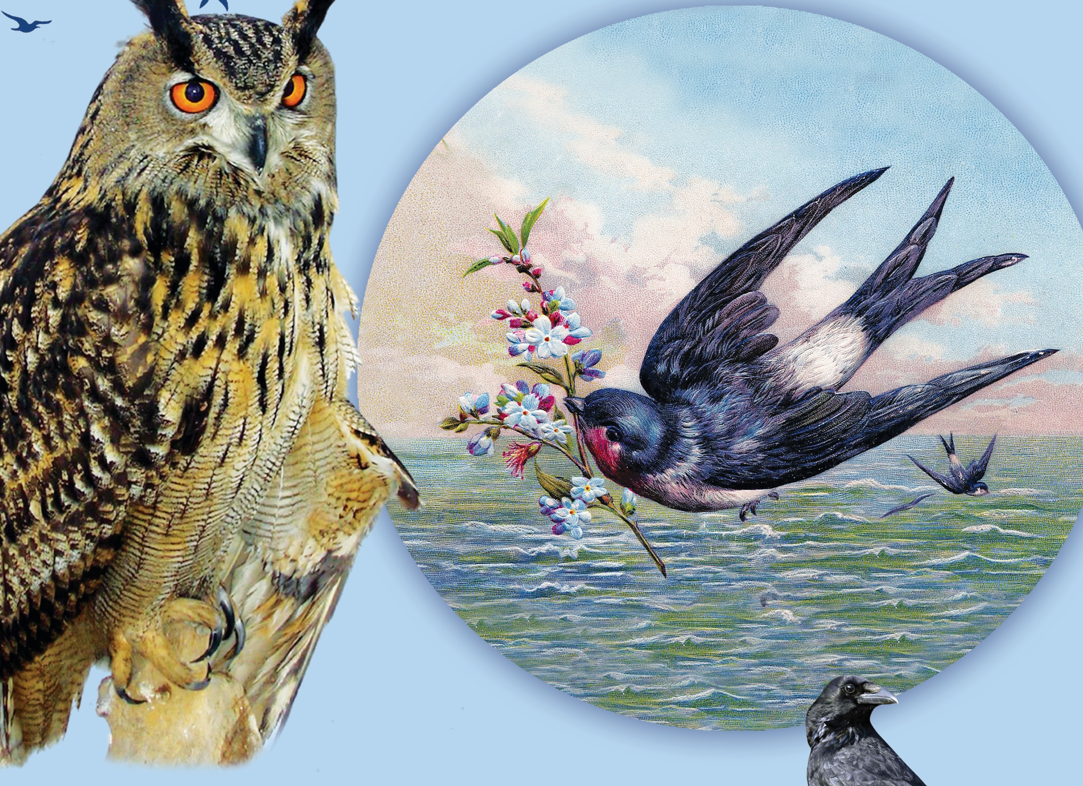„Păsările în mituri, basme şi superstiţii”: Proiect educaţional la Complexul Muzeal Galaţi