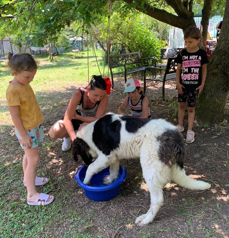 FOTO: Tabăra Năruja, paradis de vară pentru peste 150 de copii