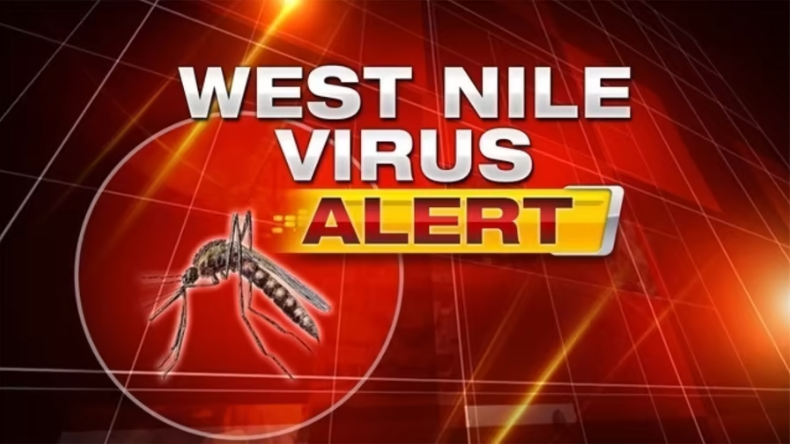 3 noi cazuri de West Nile la Galaţi