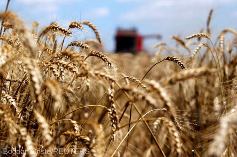 Statele Unite colaborează cu România şi Republica Moldova pentru a creşte exporturile de cereale ale Ucrainei pe Dunăre