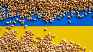 Ucraina afirmă că va exporta cereale prin porturile din Croaţia