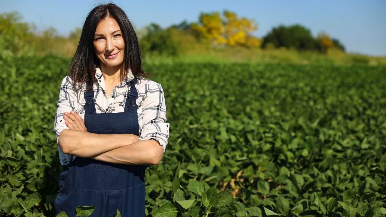 Sprijin financiar suplimentar pentru producătorii din sectorul vegetal