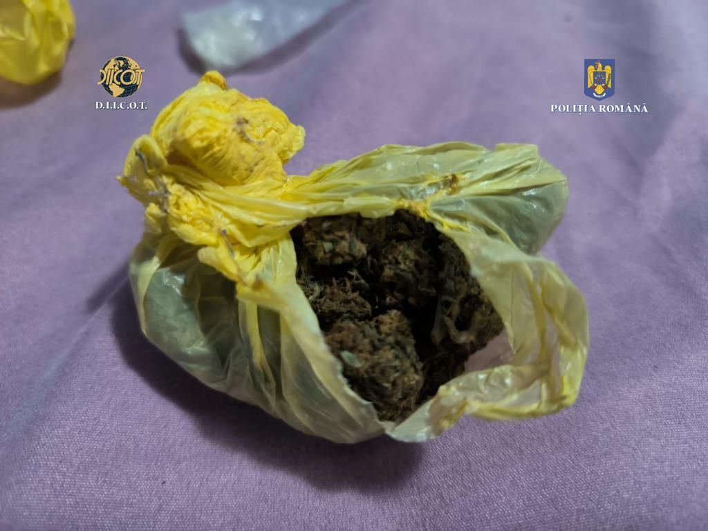 UPDATE: Arestări după percheziţiile de amploare din Galaţi şi Focşani