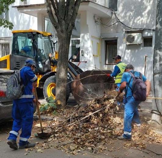 SP Ecosal vine în ajutorul cetăţenilor prin strângerea şi colectarea deşeurile vegetale, gratuit!