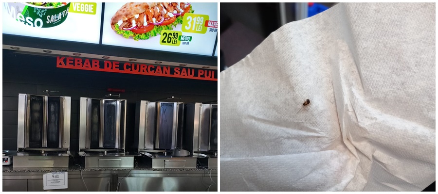 Mesopotamia a scăpat de gândaci! Fast-food-ul din mall, redeschis