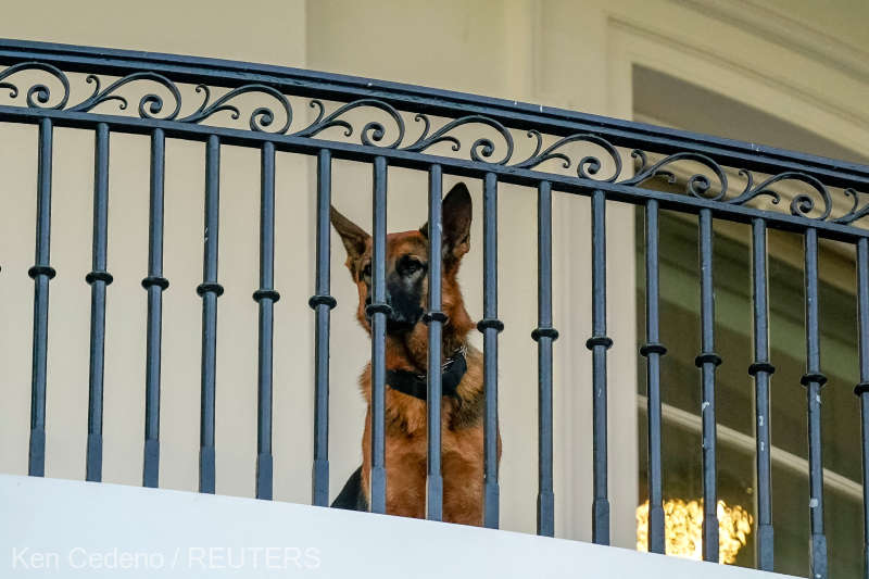 Commander, câinele soţilor Biden, a părăsit Casa Albă după ce a muşcat mai multe persoane