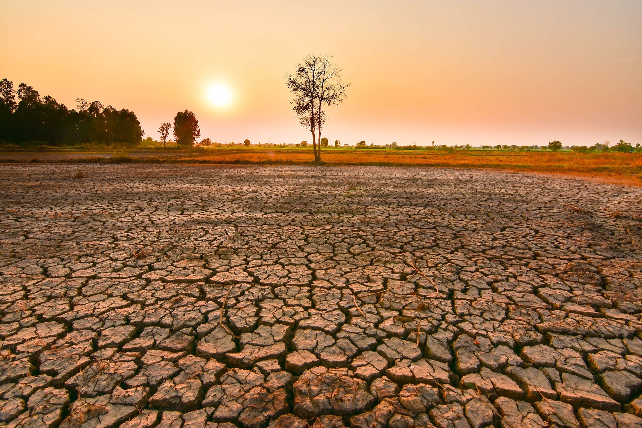 El Nino va dura până în aprilie 2024, favorizând temperaturi record (OMM)