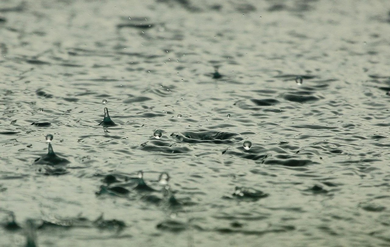 MADR: Ploile din ultimele zile au refăcut rezerva de apă din sol în majoritatea regiunilor agricole