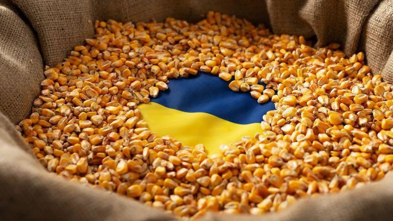 Exporturile de cereale ale Ucrainei, în scădere