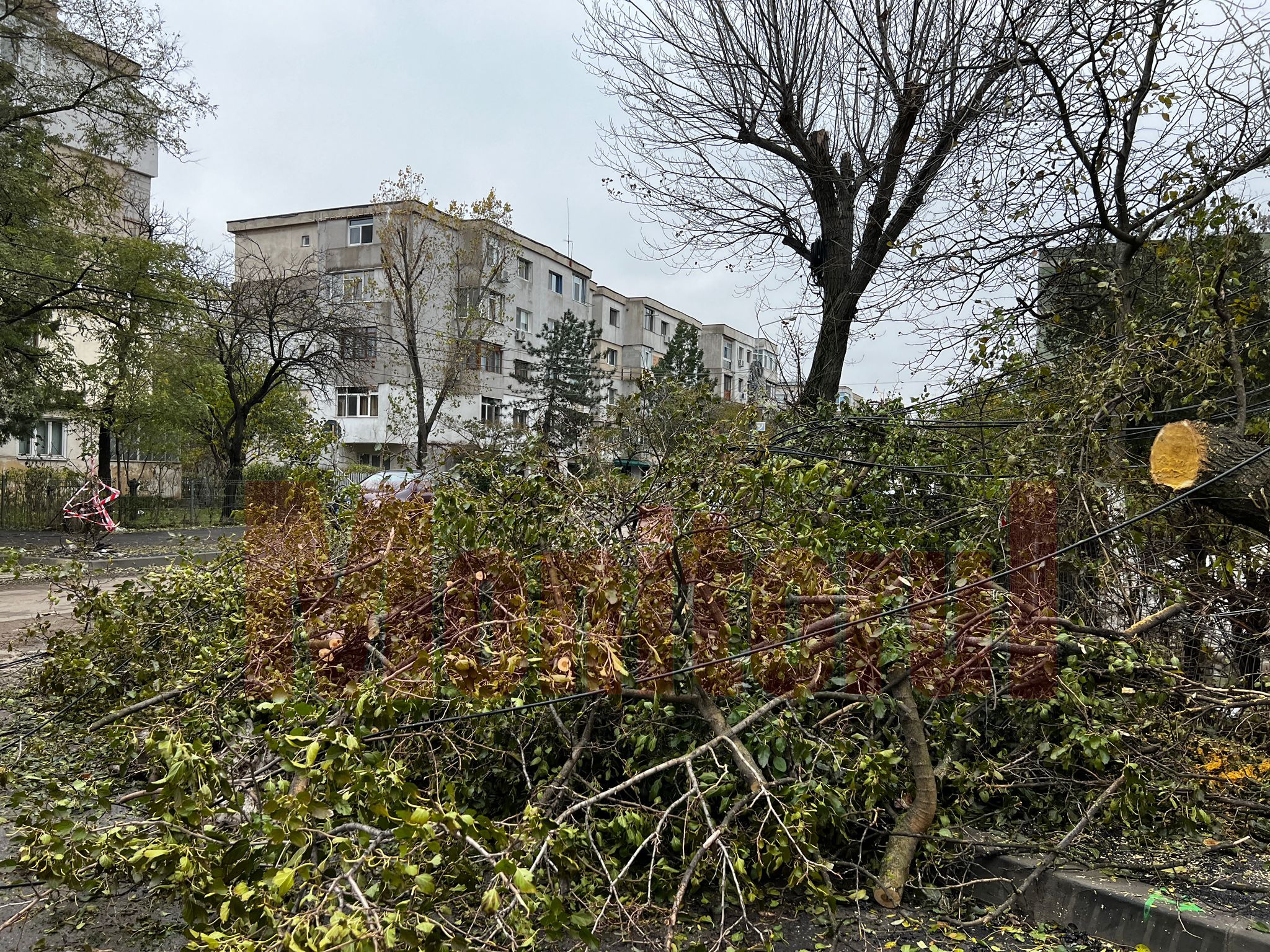 Când se vor strânge din cartiere crengile rupte de furtuna de săptămâna trecută