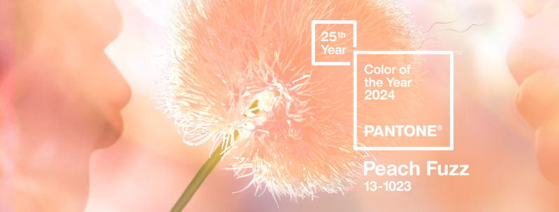 Culoarea anului 2024 este 'Peach Fuzz', a anunţat Pantone Color Institute