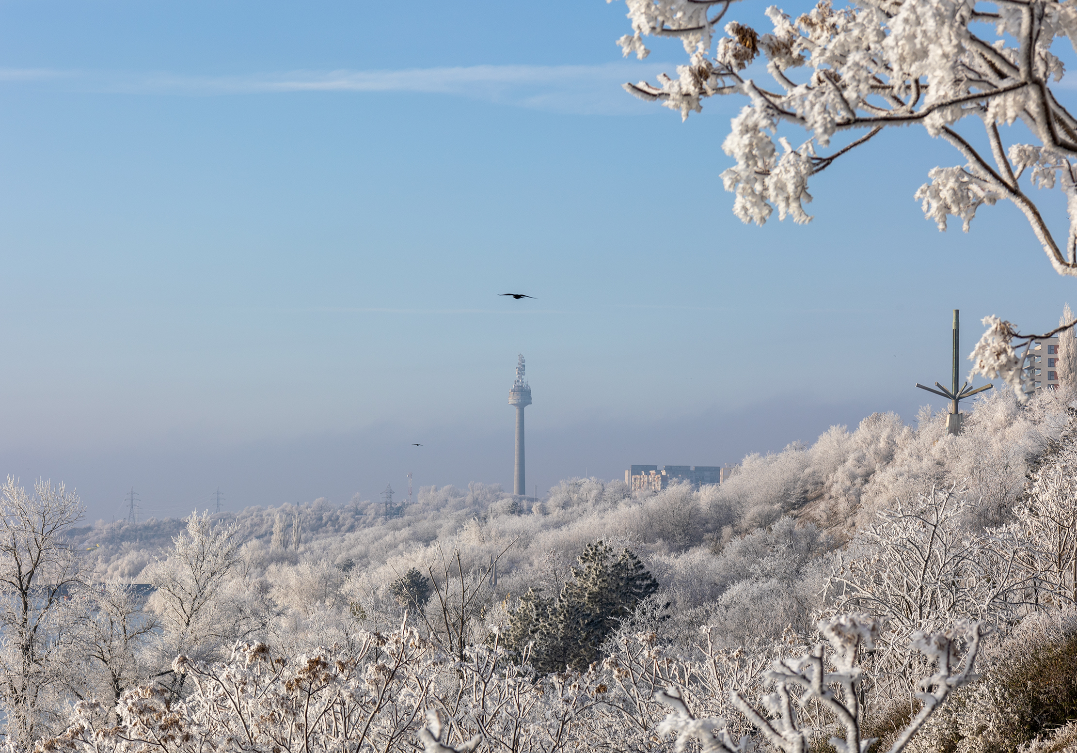 FOTO: Imagini de poveste care îţi îngheaţă privirea, pe faleza din Galaţi