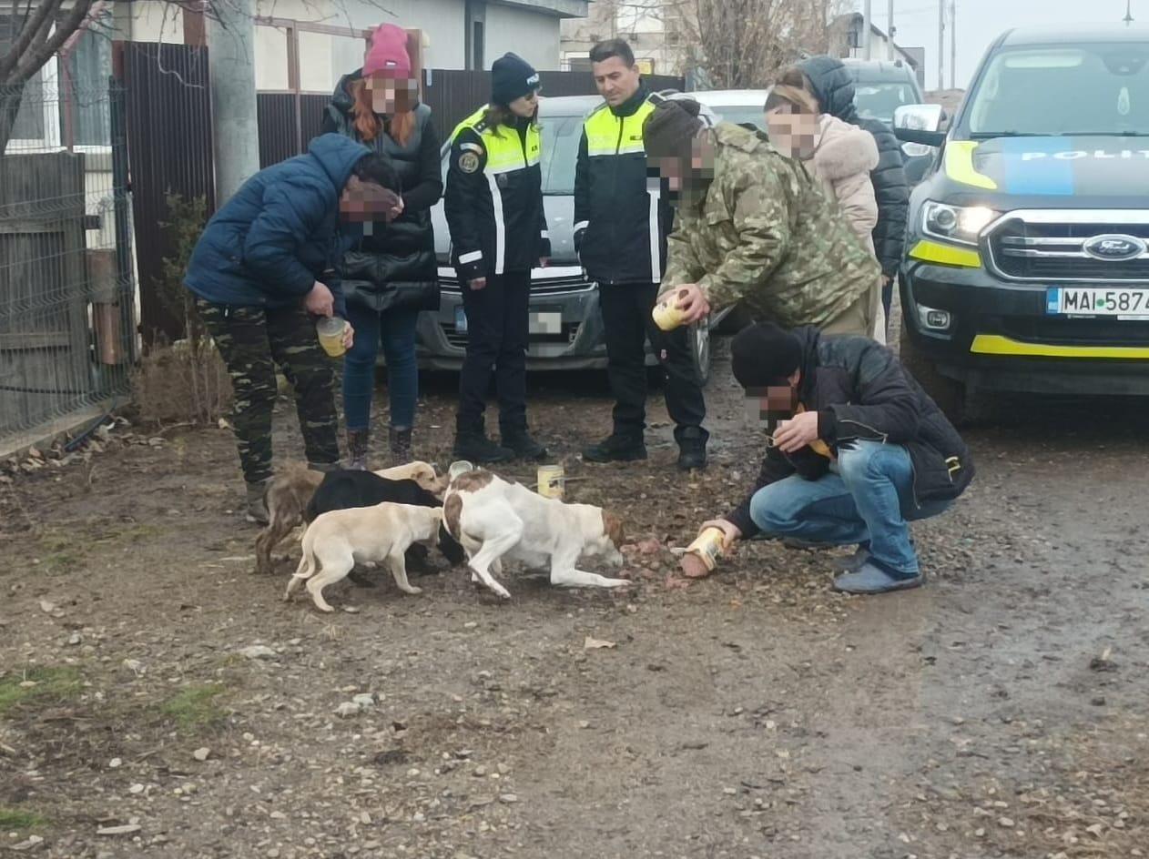 Campanie privind protecția animalelor desfăşurată de poliţiştii gălăţeni, la Braniştea