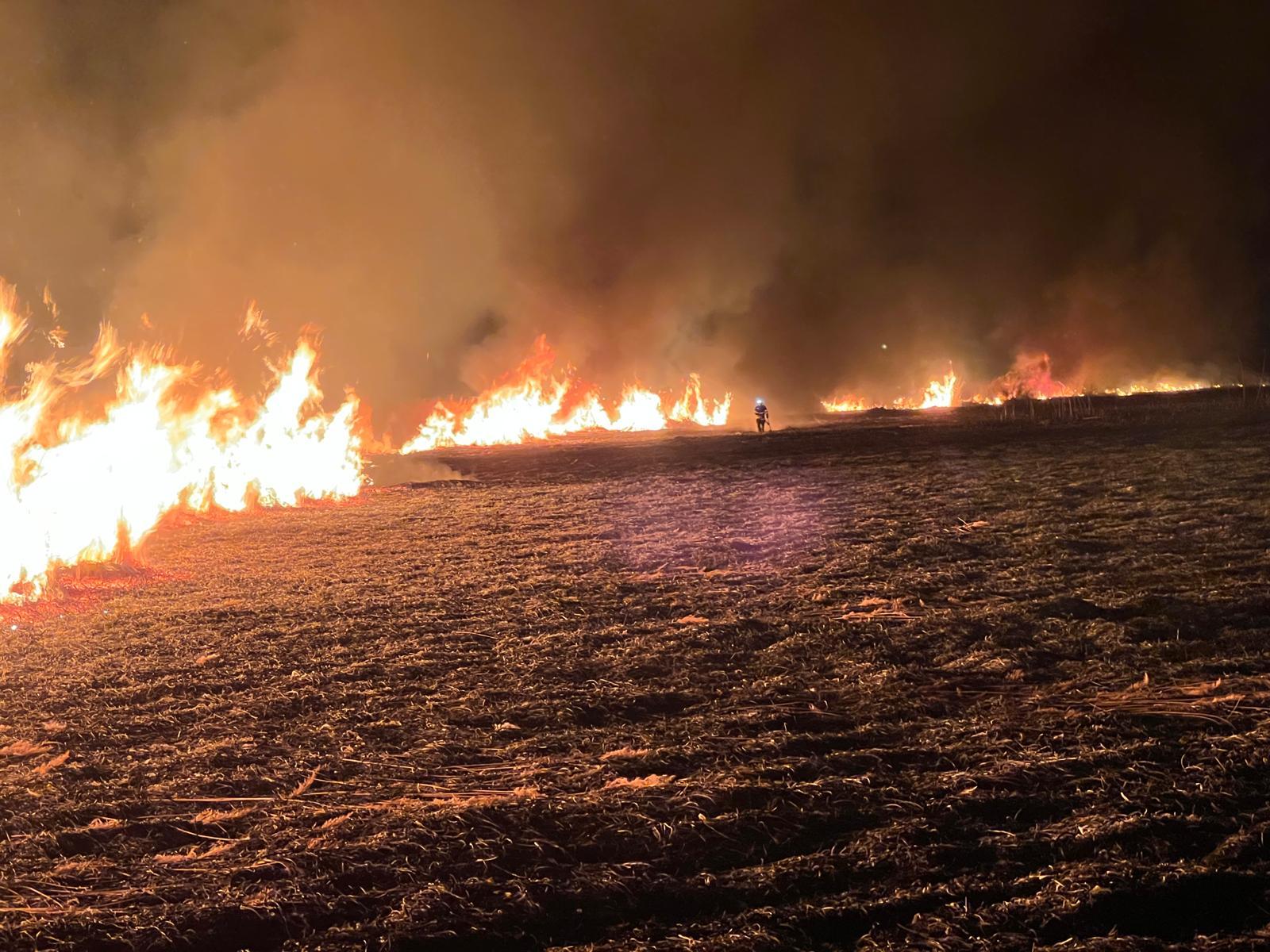 Iadul pe pământ la Tulcea! 3 incendii, în 24 de ore (FOTO)